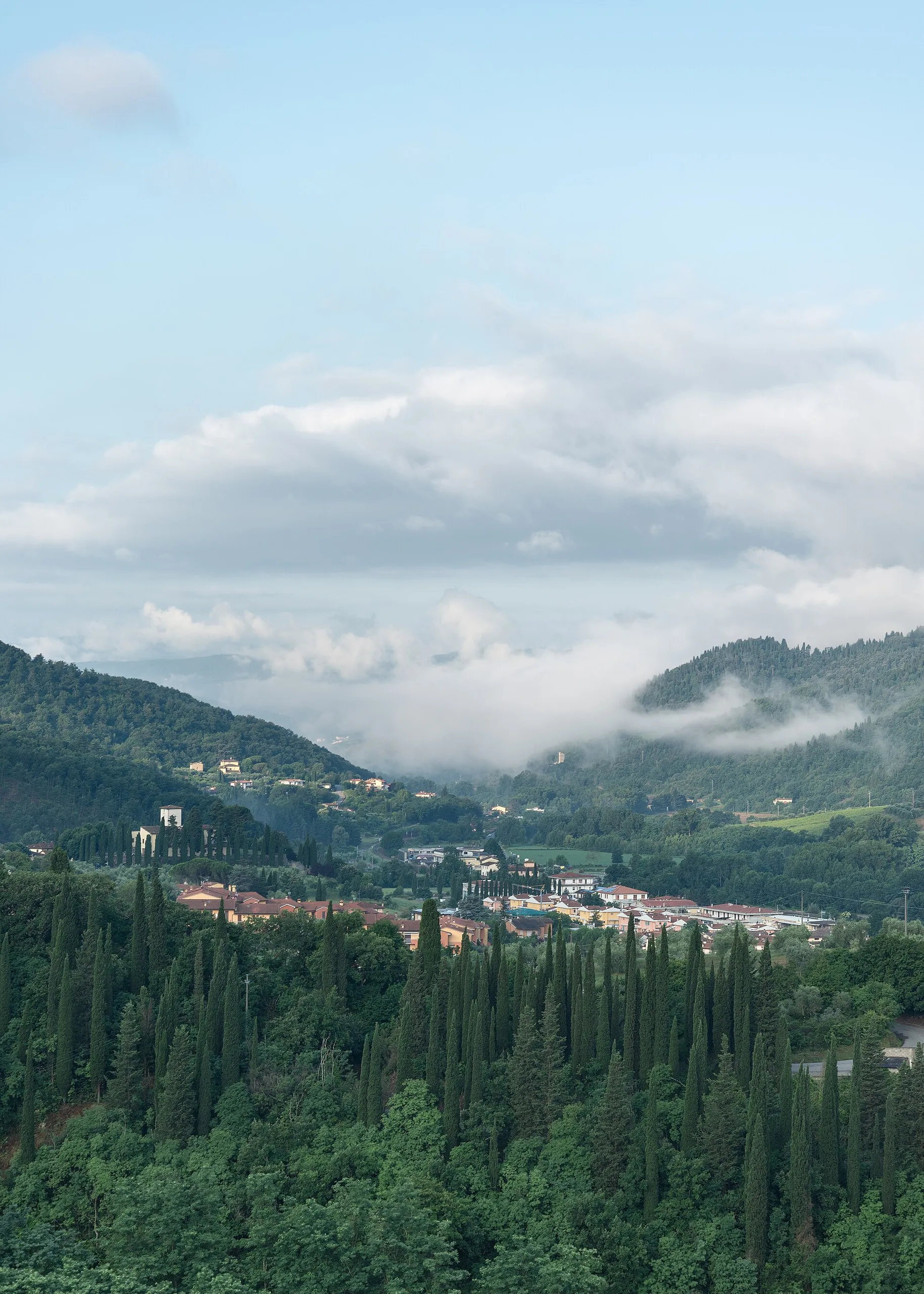 Le colline intorno a Rufina